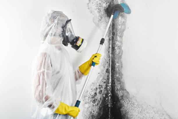 Best Mold Remediation for Healthcare Facilities  in Oroville, CA