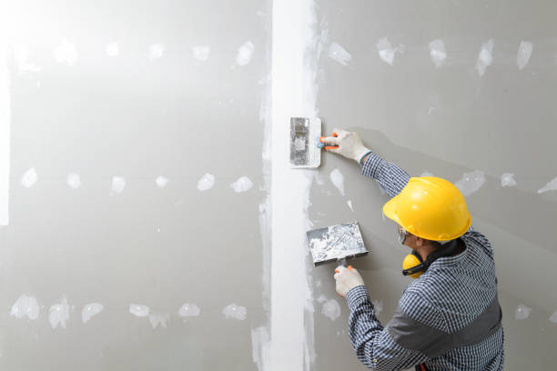  Oroville, CA Mold Removal Pros