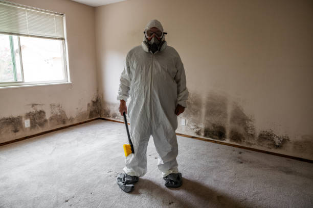 Best Post-Construction Mold Inspection  in Oroville, CA